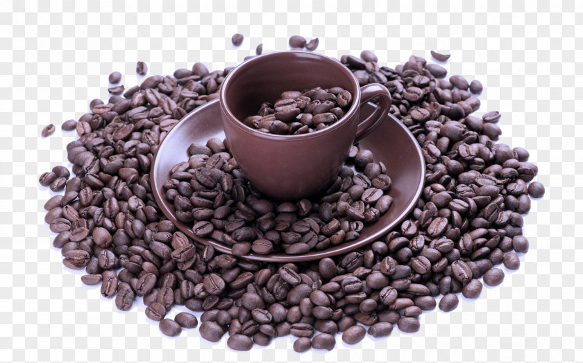 Singleorigin Coffee Cup PNG