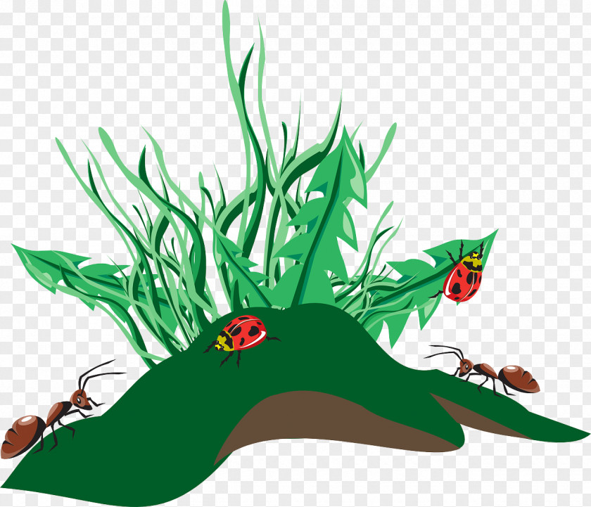 Ants Ant Insect Clip Art PNG