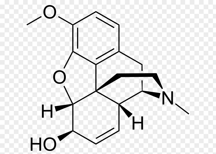 Codeine Morphine-6-glucuronide Opioid Morphine-N-oxide Alprazolam PNG