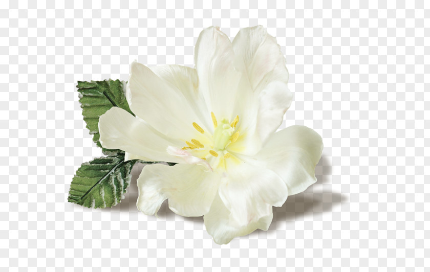 Flower Synthetic Musk Stick Jasmine PNG
