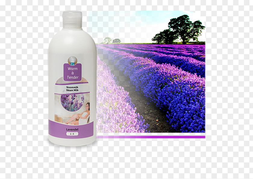 Lavendel English Lavender Odor Lavera Calming Body Lotion Flower Liquid PNG