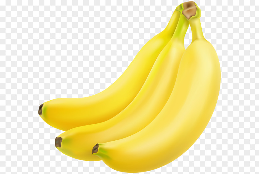 Bananas Cooking Banana Clip Art PNG