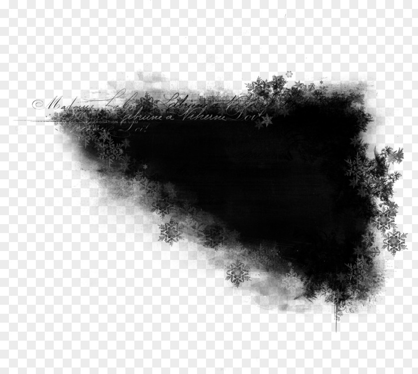 Blackandwhite Sky White Black Atmospheric Phenomenon Smoke PNG