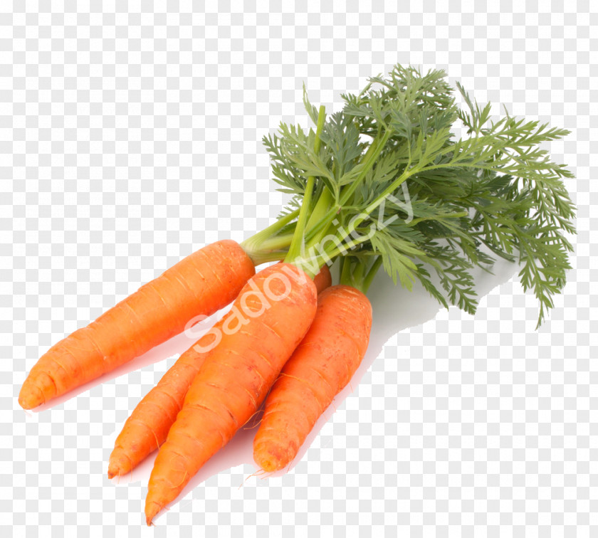 Carrot Food Vegetable Juice Health PNG