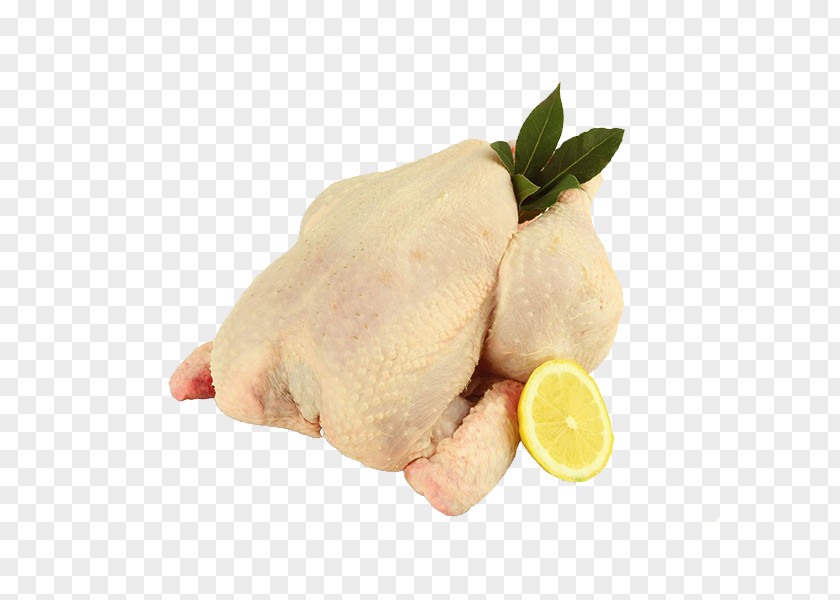 Chicken White Cut Giblets As Food Biryani PNG