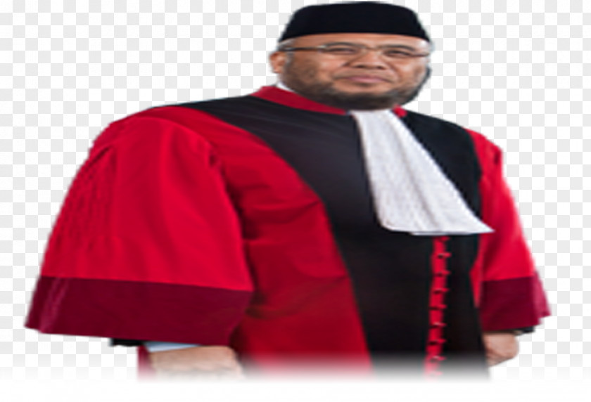 Constitutional Court Of Indonesia Hakim Konstitusi Judge People's Representative Council National Mandate Party PNG