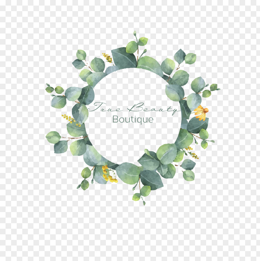 Eucalyptus Watercolor Silver Dollar Vector Graphics Painting Illustration Royalty-free Stock Photography PNG