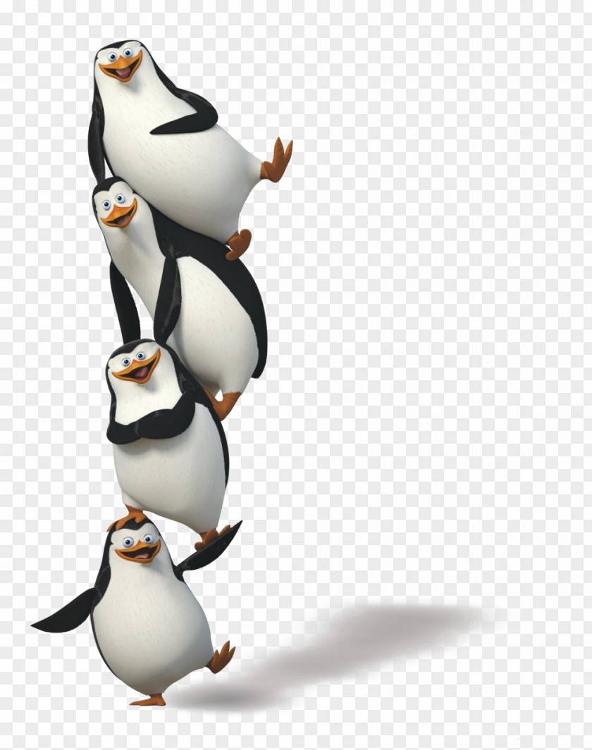 Penguins Kowalski Skipper Madagascar Animation Clip Art PNG