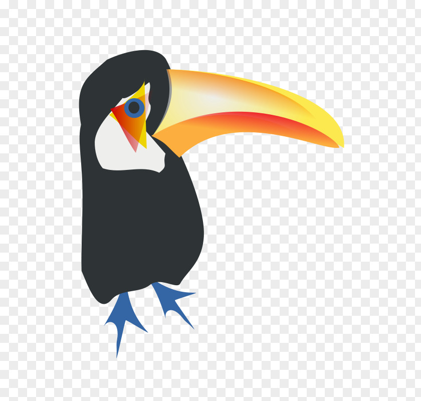 Toucan Toco Bird Clip Art PNG