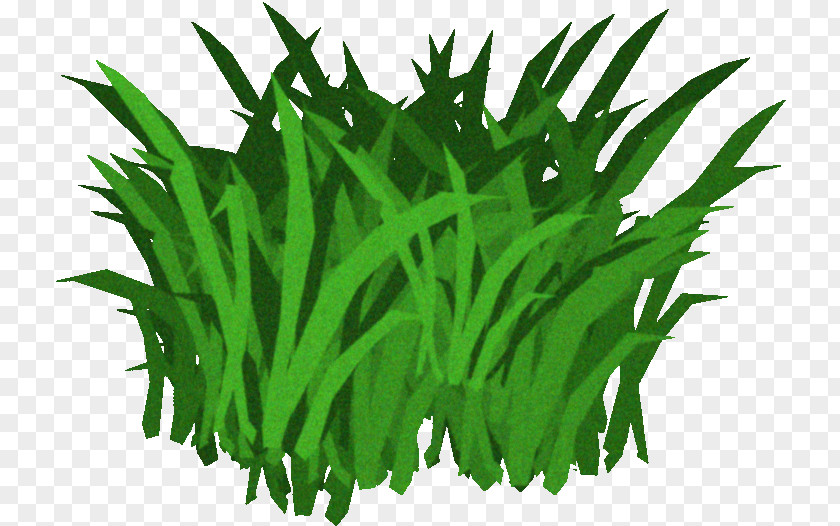 Aquatic Plants Fucus Serratus Seaweed Kelp Clip Art PNG