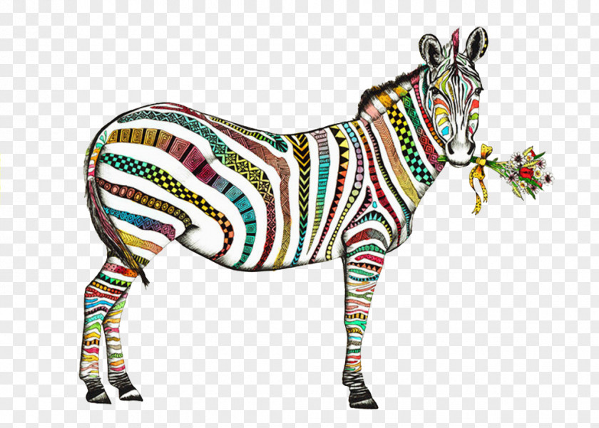 Color Zebra PNG