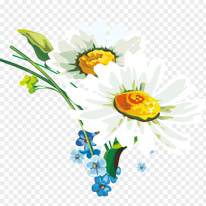 Desktop Wallpaper Drawing Floral Design Illustration PNG