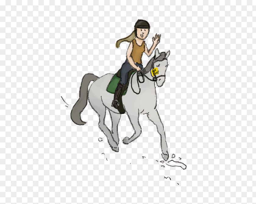 Horse Pony Dr. Med. Vet. Wolfgang Göbel English Riding Equestrian PNG