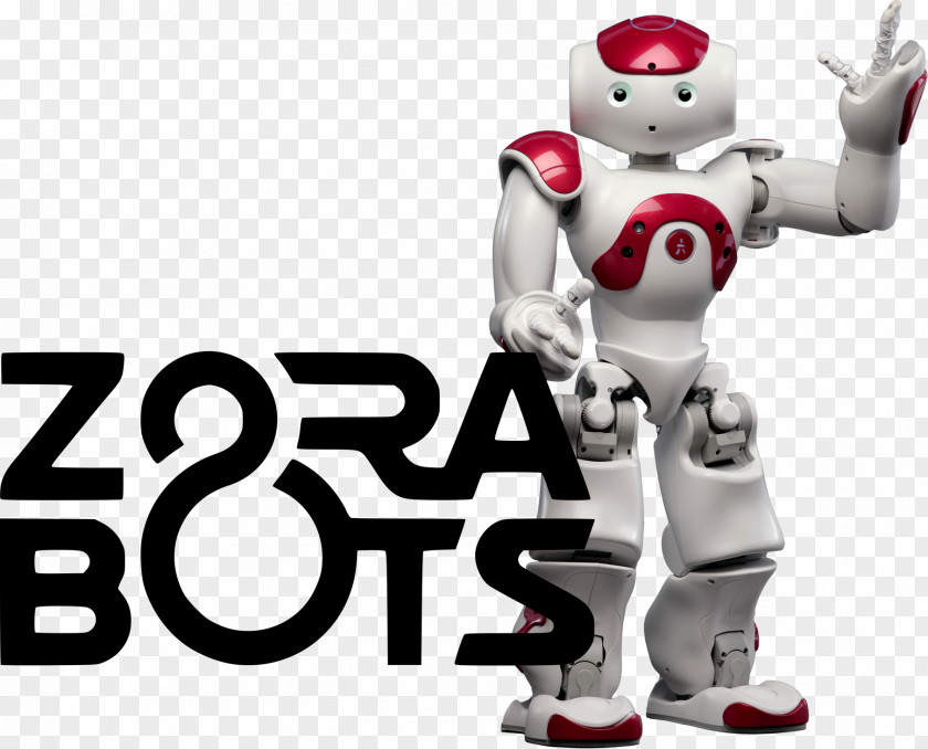 Robot Humanoid Nao Robotis Bioloid Aldebaran Robotics PNG