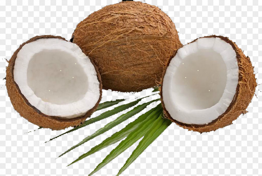 Coconut Water Milk Powder Candy PNG