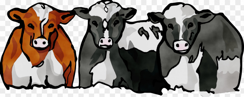 Dairy Blackandwhite Cow Bovine Cow-goat Family Livestock Snout PNG