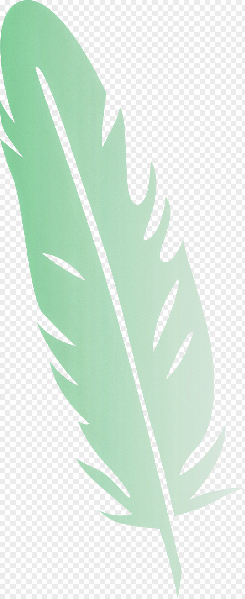 Feather PNG