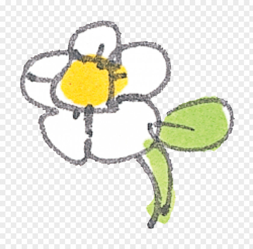 Insect Body Jewellery Pollinator PNG
