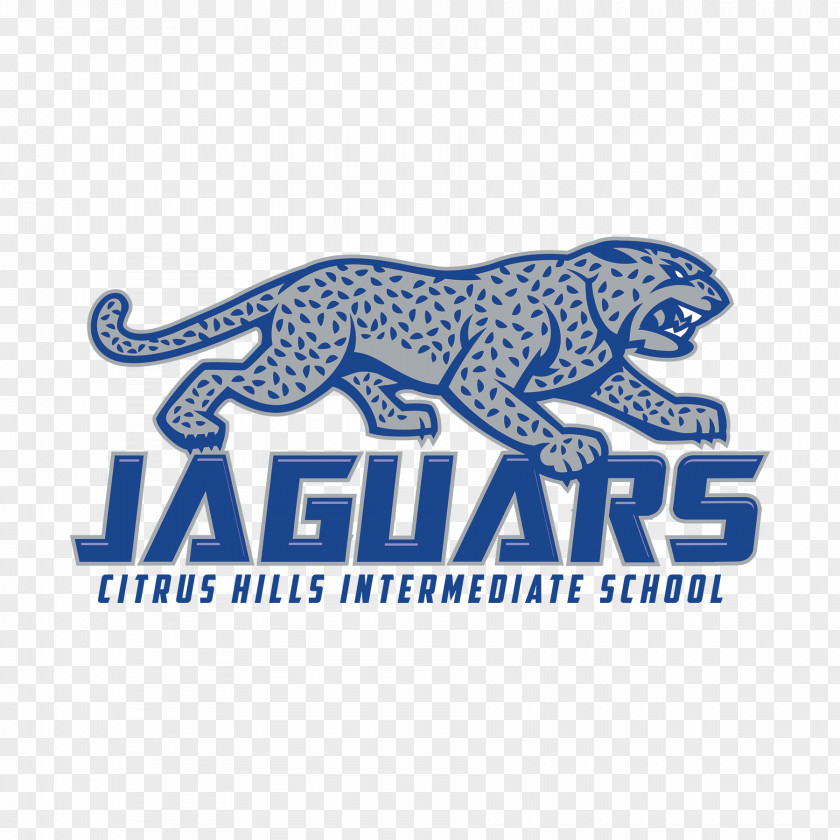 Jaguar Citrus Hills Intermediate Cars Middle School Carnivora PNG