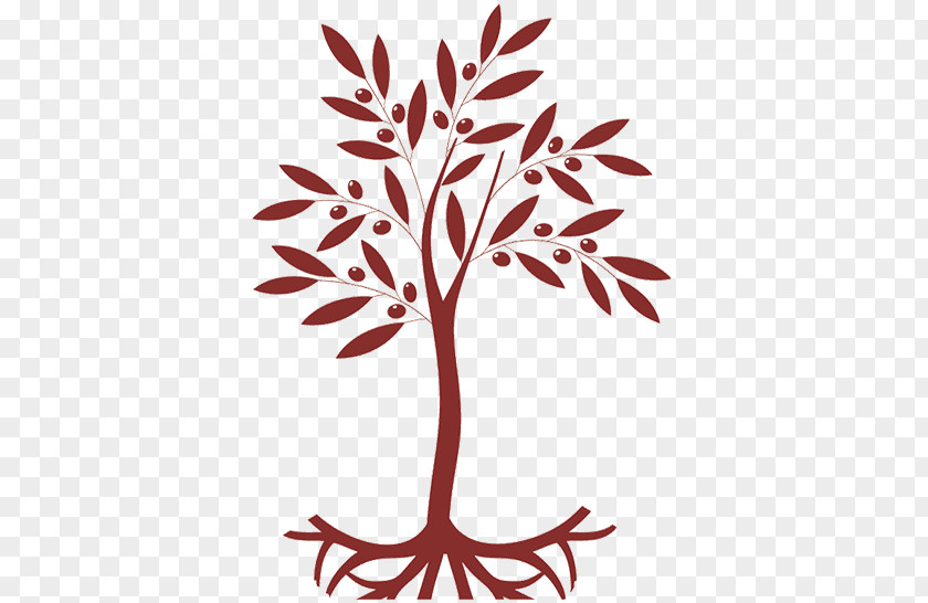 Olive Twig Leaf Tree Plant Stem PNG