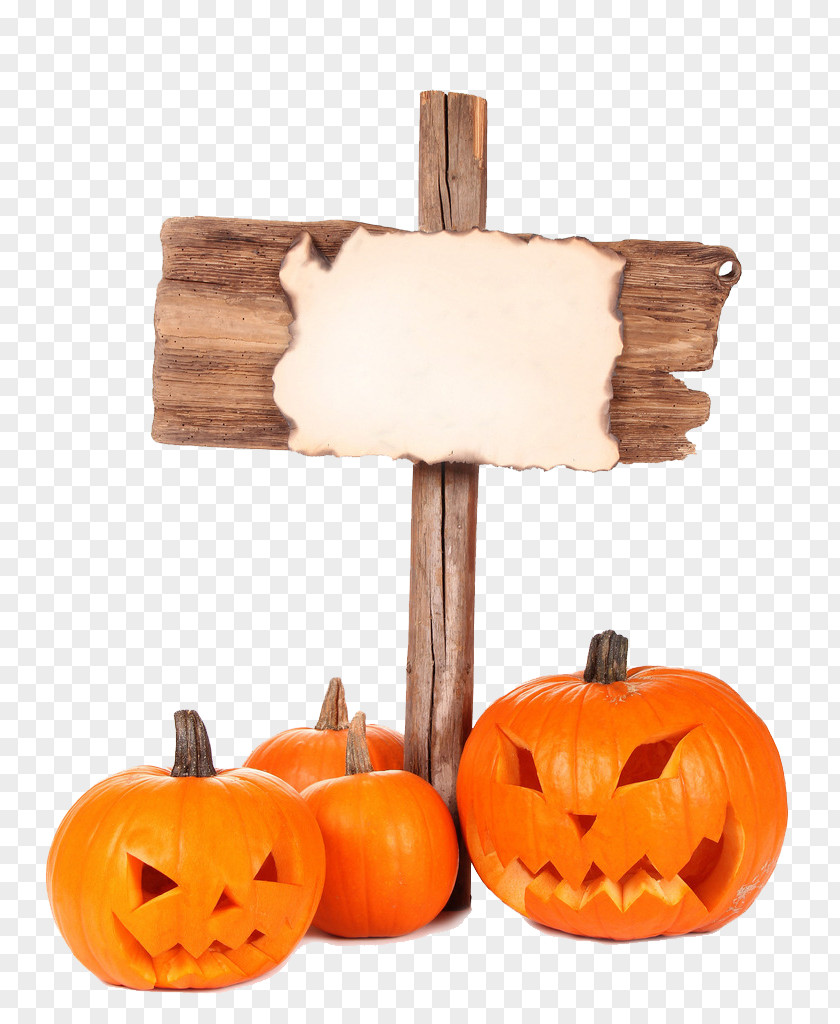 Pumpkin And Mupai PNG