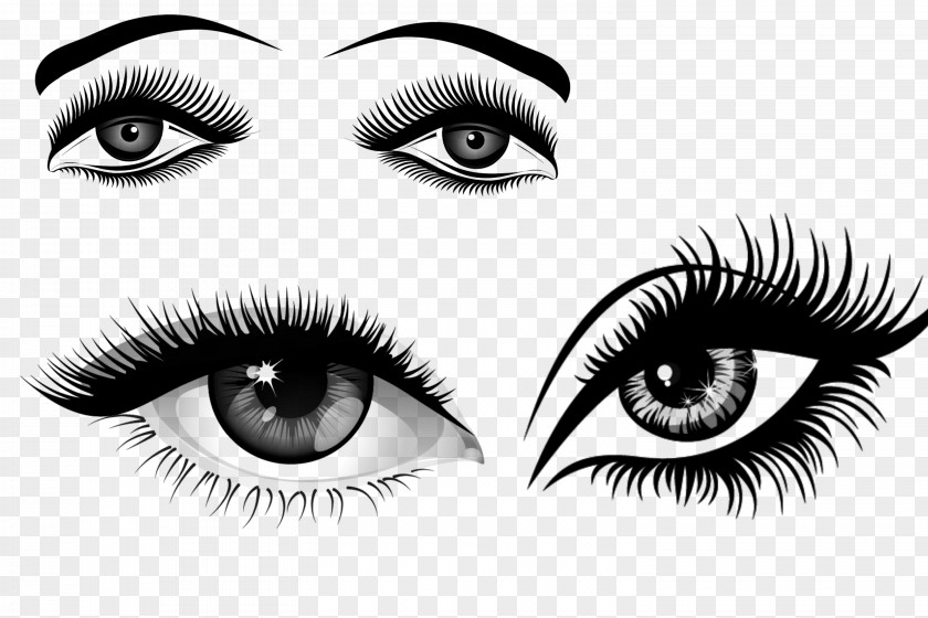 Sketch Black Cartoon Eyes Eyelash Extensions Clip Art PNG