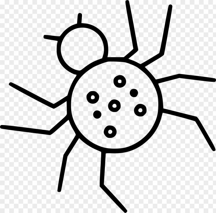 Spider Infographic Vector Graphics Drawing Stock Photography Clip Art Illustration PNG