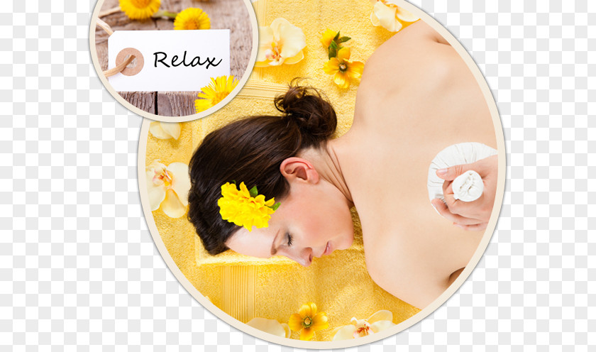 Stone Massage Thai Health Therapy Body PNG