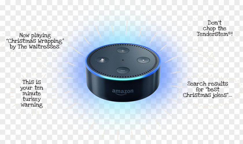 Dried Cranberry Amazon Echo Dot (2nd Generation) Electronics PNG