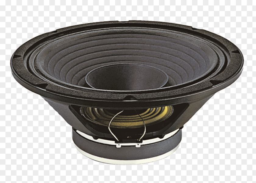 Dual Cone And Polar Subwoofer Loudspeaker Sound Voice Coil PNG
