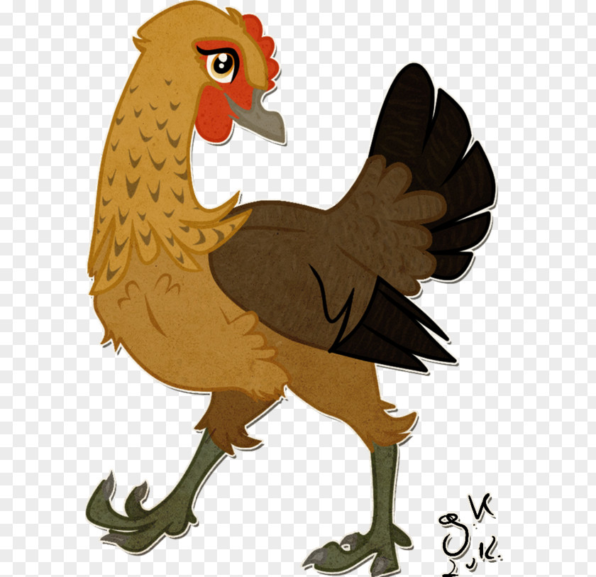 Feather Rooster Cartoon Fauna Beak PNG