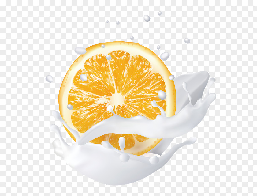 Kumquat Plant Lemonade PNG