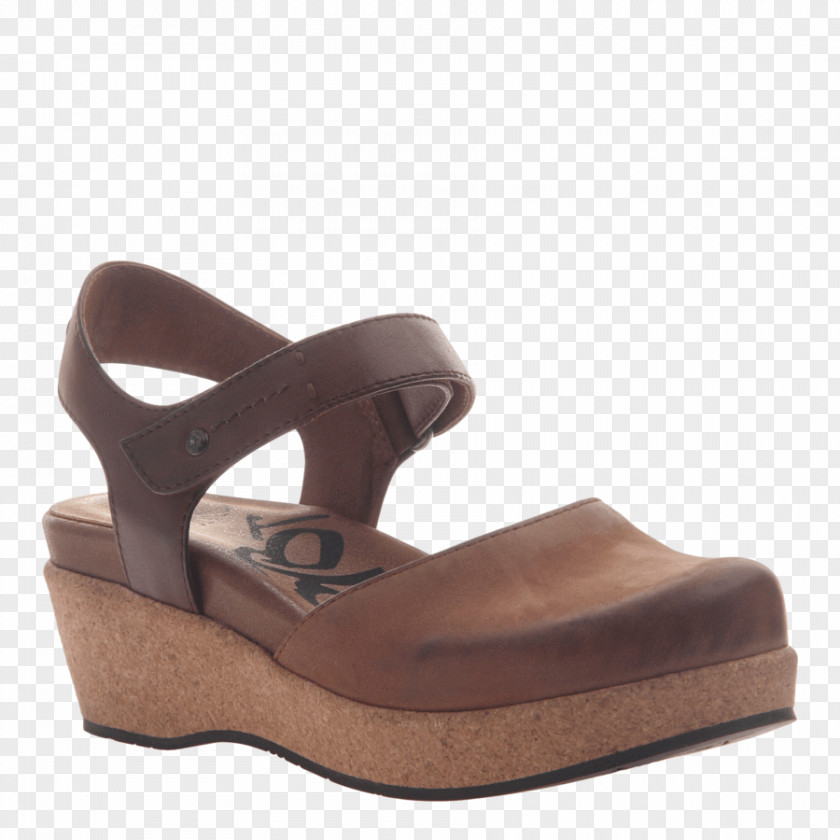 Sandal Platform Shoe Wedge Ballet Flat PNG