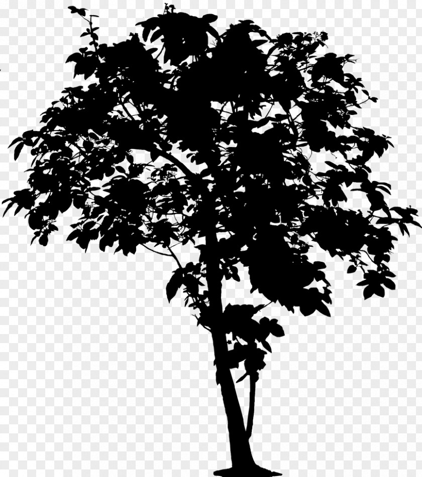 Clip Art Vector Graphics Tree Oak Openclipart PNG