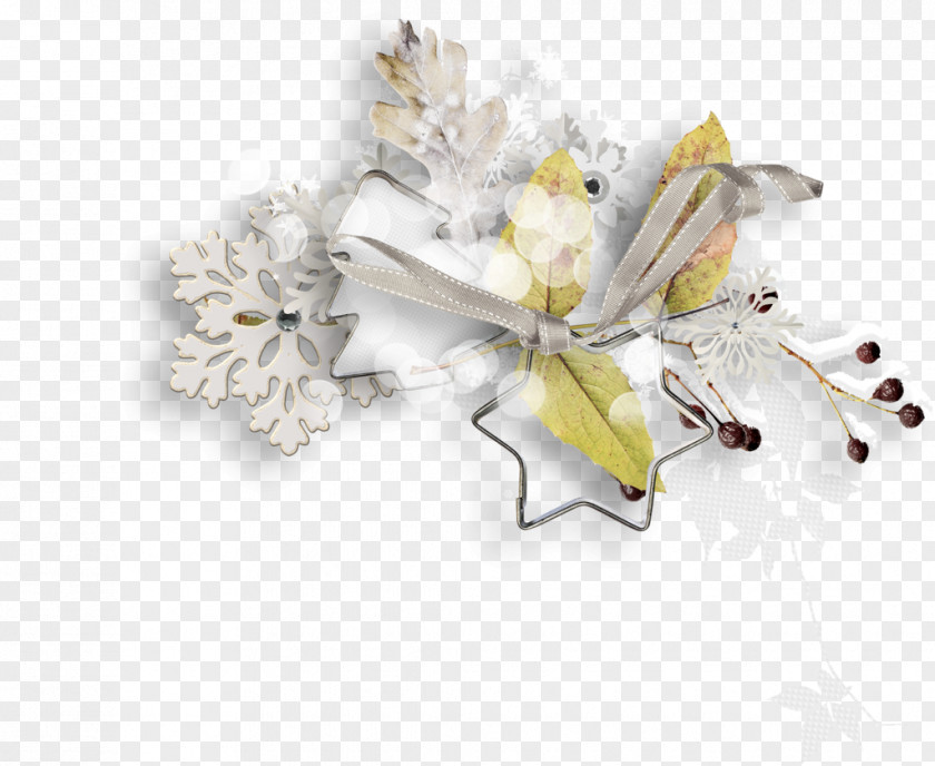 Flower Cut Flowers Bouquet Floral Design Petal PNG