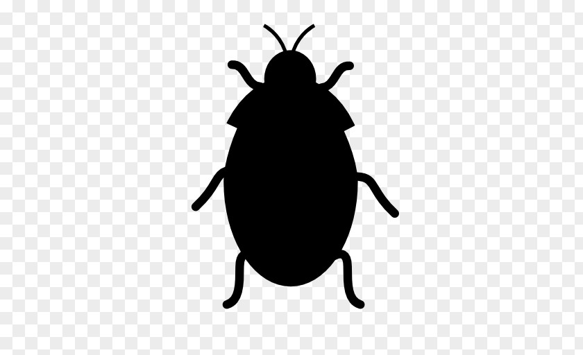 Insect Computer Security Vulnerability Software Bug PNG