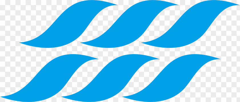 Japanese Spray Logo Wave PNG