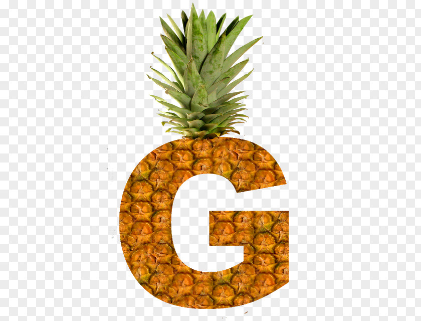Pineapple Smoothie Succade Juice PNG