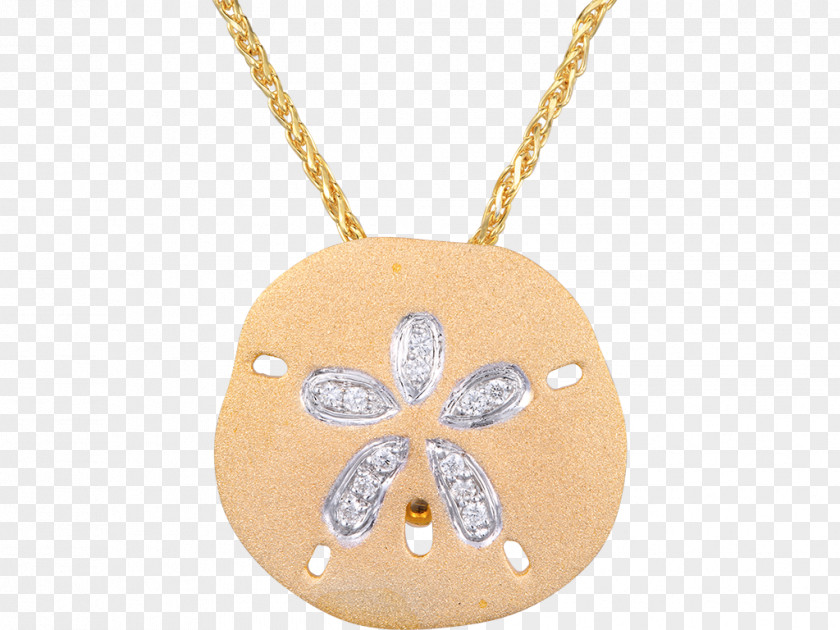 Sand Dollar Charms & Pendants Earring Jewellery Necklace Locket PNG
