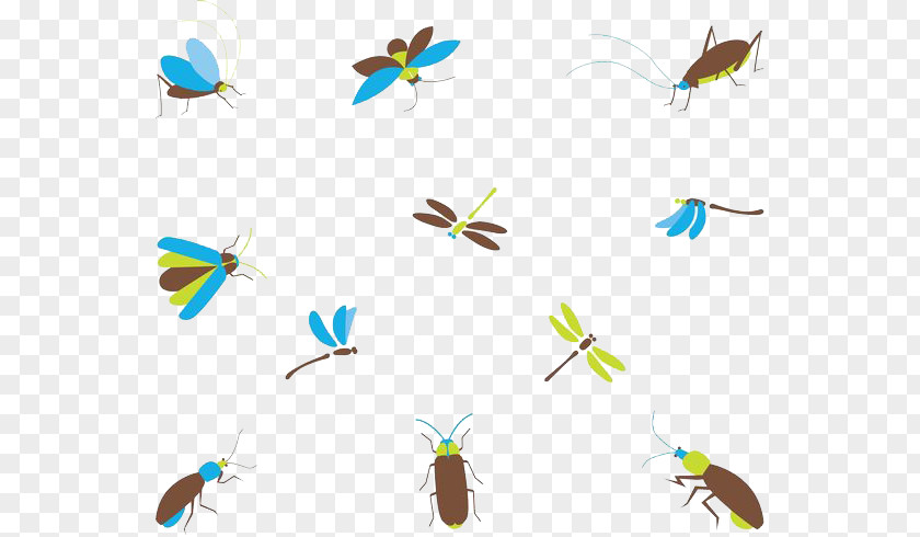 Dragonflies And Cockroaches Cockroach Insect PNG