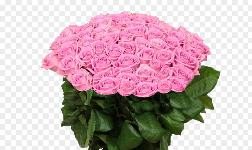 Flower Garden Roses Tsvety Na Oktyabr'skoy Floral Design Cut Flowers PNG