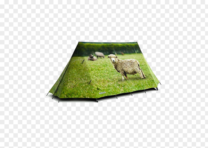 Grass Tents Tent Camping Campsite Glamping Hydrostatic Head PNG