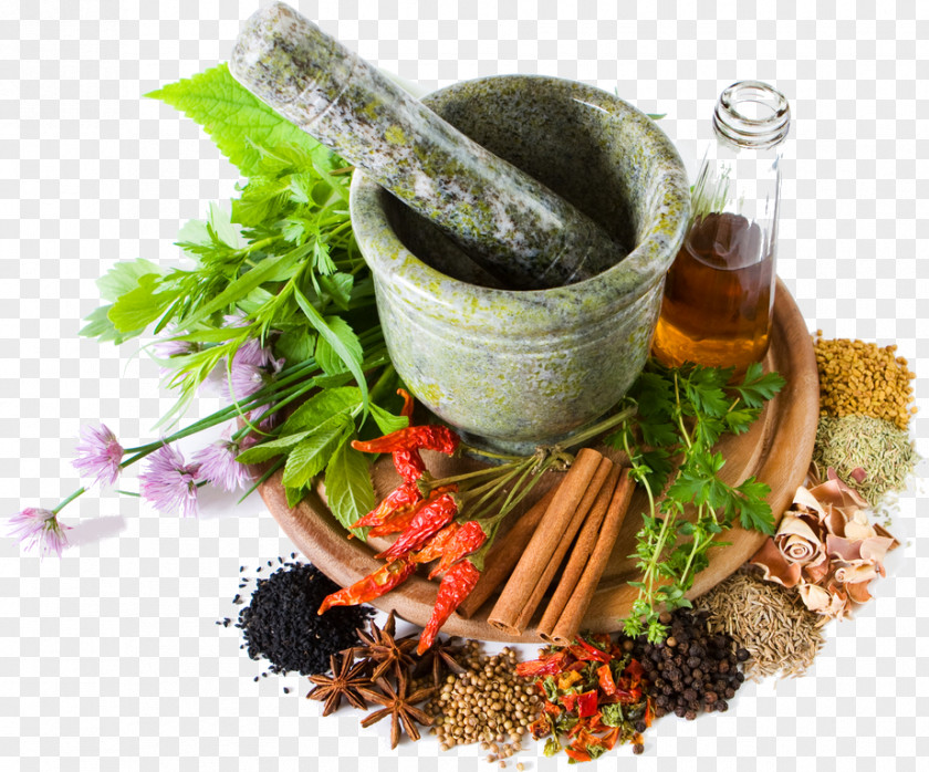 Health Herbalism Medicine Pharmaceutical Drug Alternative Services PNG