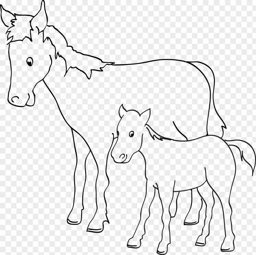 Horse Mule Foal Coloring Book Pony PNG