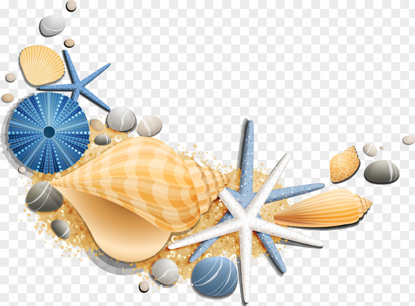 Seashell Vacation Sea Summer Beach Suite PNG