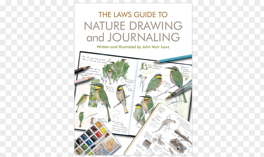 Book The Laws Guide To Nature Drawing And Journaling Sketchbook For Paperback PNG