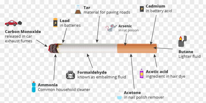 Cigarette Smoking Facts Tobacco PNG