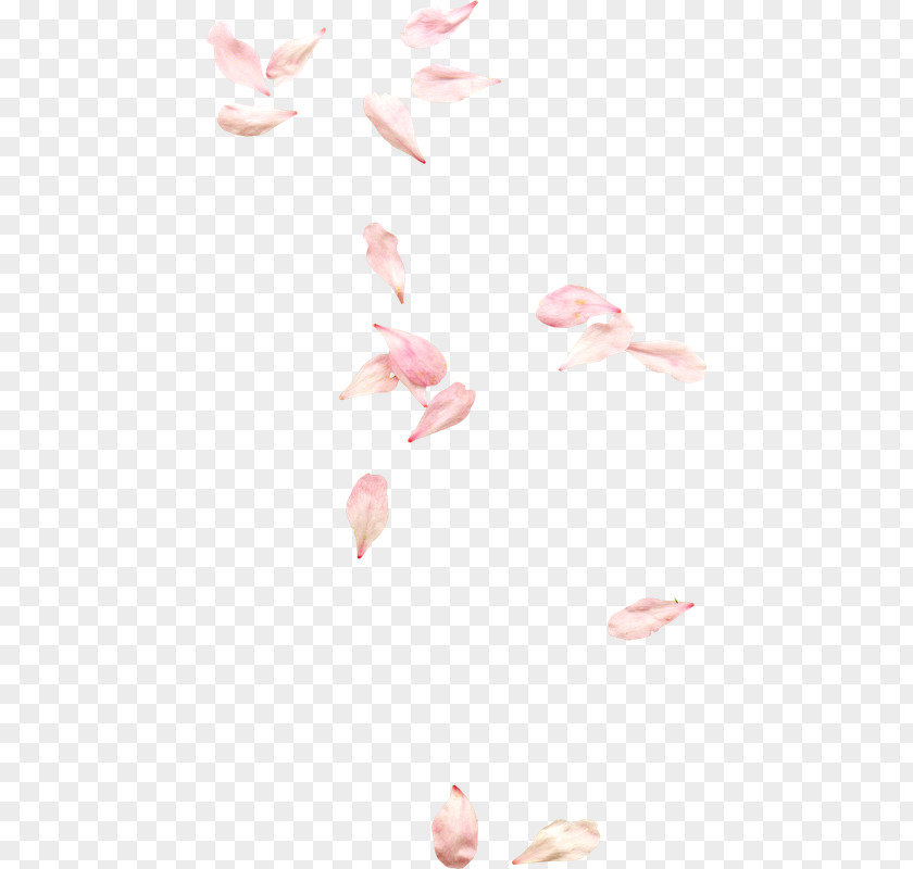 Invitation Elements Petal Flower Clip Art Image PNG