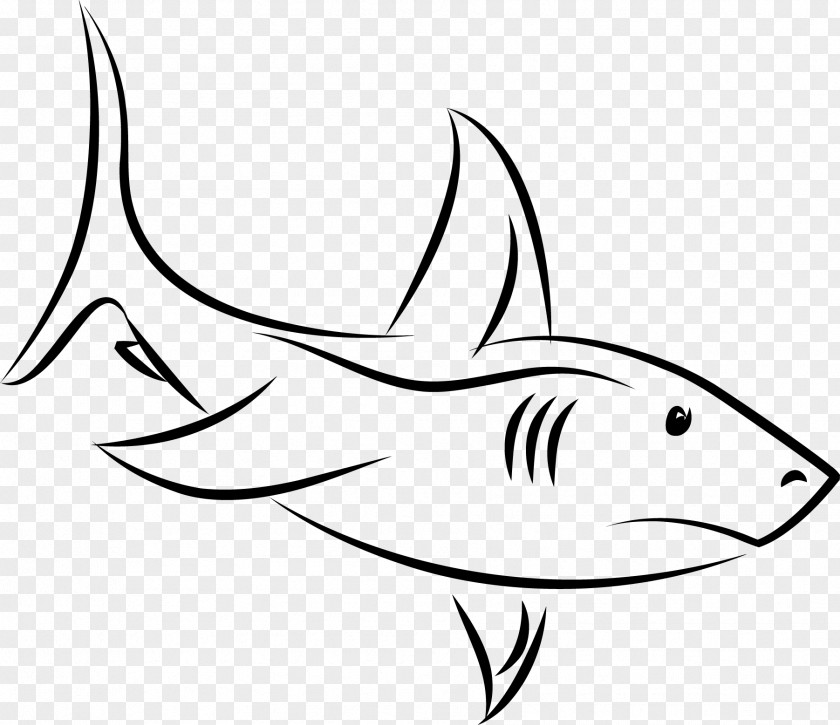Shark Line Black And White Drawing Clip Art PNG