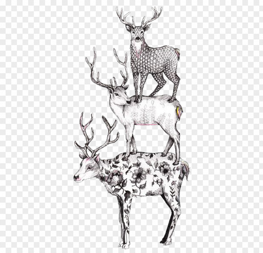 Three Superimposed Deer Drawing Illustration PNG